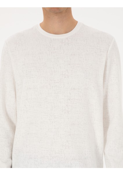 Erkek Ekru Regular Fit Sweatshirt 50313944-VR019