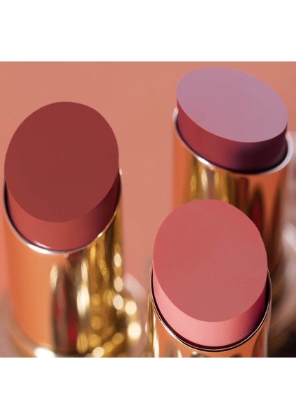 Phyto-Rouge Shine - Parlak Ruj 10 Sheer Nude (3 G) indirimleri