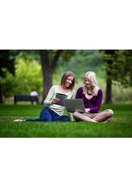 Master Lawn 5 Mix Karışım Çim Tohumu 1 kg modelleri