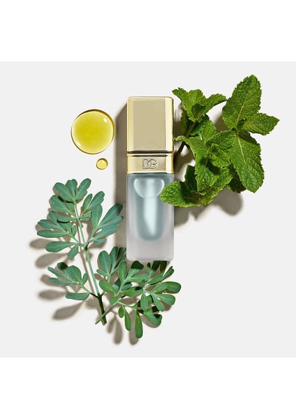 Mint Oil Plumper - Nemlendirici ve Dolgunlaştırıcı Dudak Parlatıcısı (7ml) fırsatları