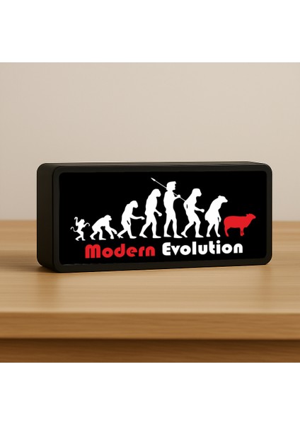 Modern Evolution LED Lamba & Masa Lambası & Gece Lambası