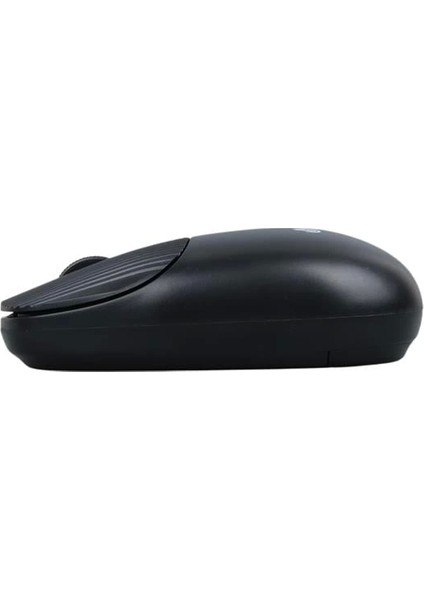 HL-21808 Siyah 1000 Dpı 2.4ghz Kablosuz Bluetooth Mouse modelleri