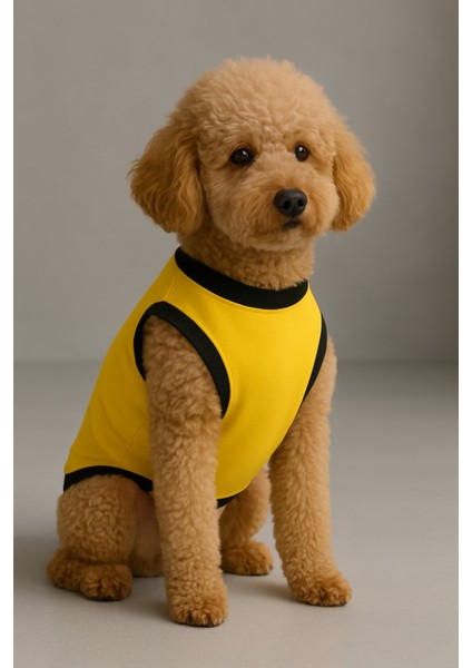 Yeni Sezon Köpek ve Kedi Kıyafeti - Hardal Pikaçu fiyatları