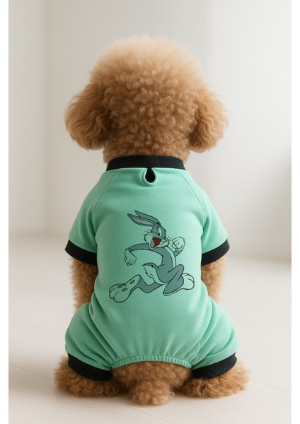Kedi ve Köpek Kıyafeti & Elbisesi - Mint 4 Bacak Tulum Bugs Bunny