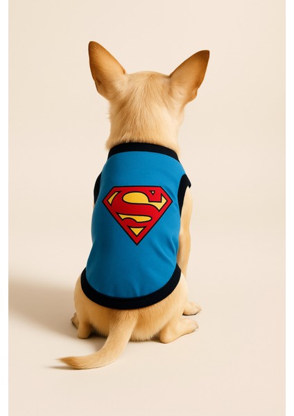 Yeni Sezon Köpek ve Kedi Kıyafeti - Mavi Superman