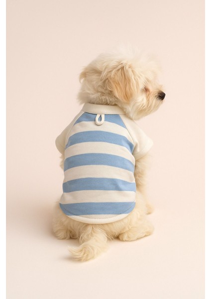 %100 Pamuk Kedi ve Köpek Kıyafeti - Mavi Beyaz Çizgili Basic T-Shirt