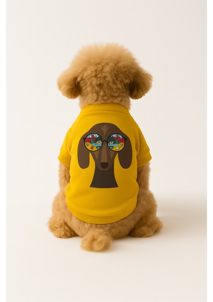 Kedi ve Köpek Kıyafeti & Elbisesi - Sarı Sweatshirt Manzara Gözlüklü Köpek
