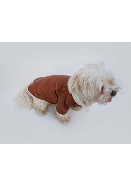 Kedi ve Köpek Kıyafeti & Elbisesi & Ceketi & Yeleği - Kahverengi Kürklü Ceket