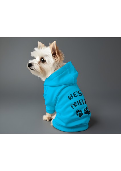 Kedi ve Köpek Kıyafeti & Elbisesi - Mavi Hoodie Best Friend