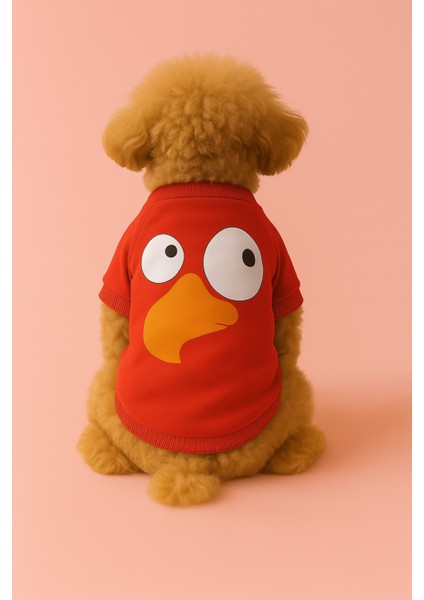 Kedi ve Köpek Kıyafeti & Elbisesi - Kırmızı Sweatshirt Vektör Kuş