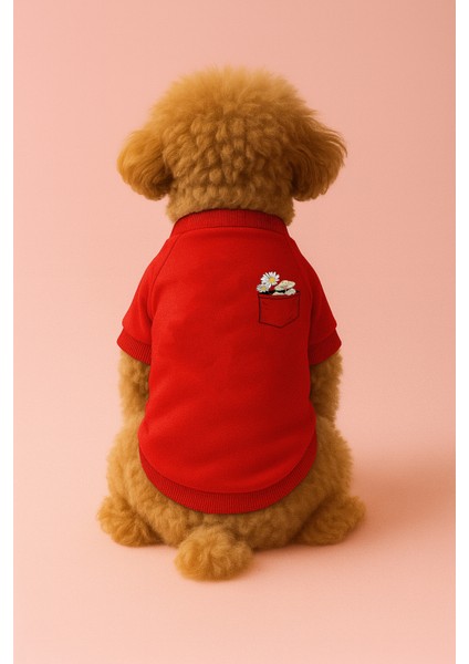 Kedi ve Köpek Kıyafeti & Elbisesi - Kırmızı Sweatshirt Papatya Cep