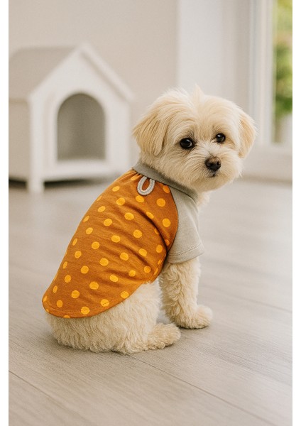 %100 Pamuk Kedi ve Köpek Kıyafeti - Turuncu Puantiyeli Basic T-Shirt