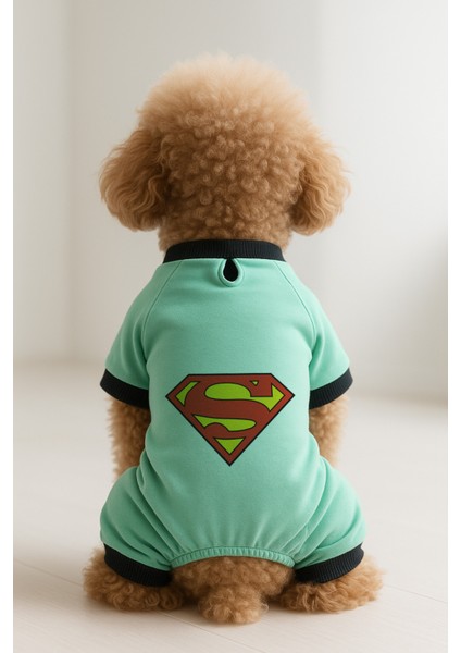 Kedi ve Köpek Kıyafeti & Elbisesi - Mint 4 Bacak Tulum Superman