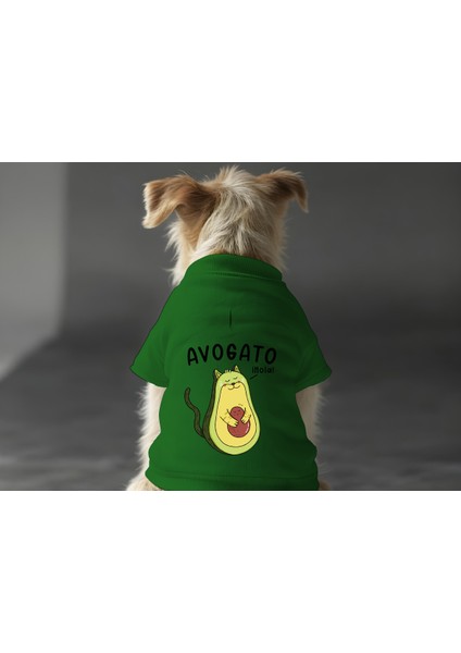 Kedi ve Köpek Kıyafeti & Elbisesi - Yeşil Sweatshirt Avagado