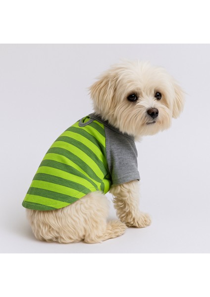 Kedi ve Köpek Kıyafeti & Elbisesi - Yeşil ve Gri T-Shirt