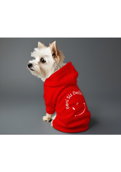 Kedi ve Köpek Kıyafeti & Elbisesi - Kırmızı Hoodie Beni Siz Delirttiniz fiyatları