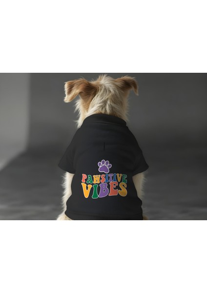 Kedi ve Köpek Kıyafeti & Elbisesi - Siyah Sweatshirt Pawsitive Vibes