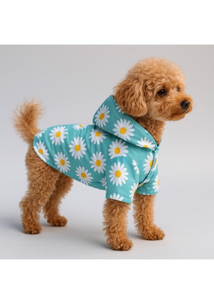 Kedi ve Köpek Kıyafeti & Elbisesi & Yağmurluğu - Mavi Papatya Baskılı Fileli Yağmurluk