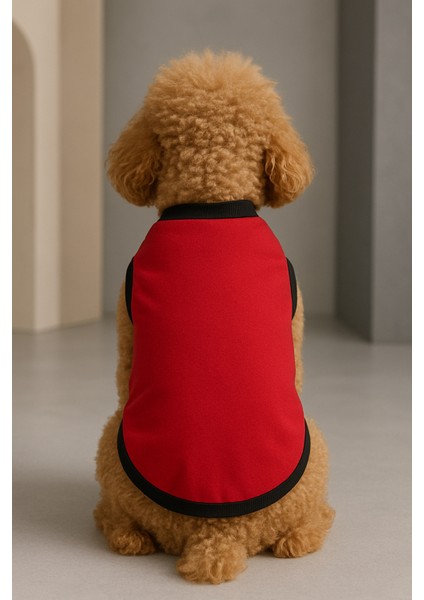 Yeni Sezon Köpek ve Kedi Kıyafeti - Düz Kırmızı fiyatları