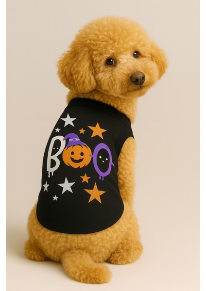 Köpek ve Kedi Kıyafeti - Bal Kabağı