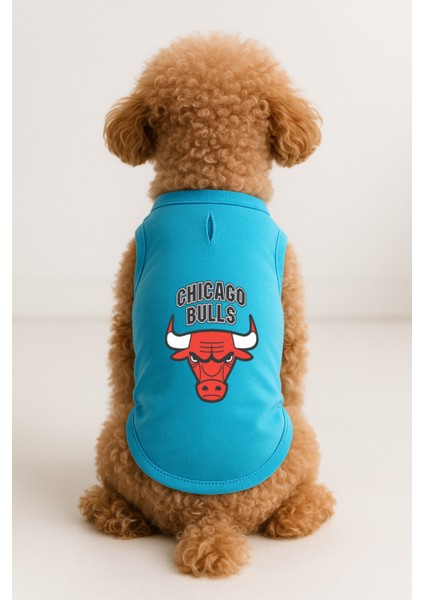 Kedi ve Köpek Kıyafeti & Elbisesi - Turkuaz Chicago Bulls Atlet