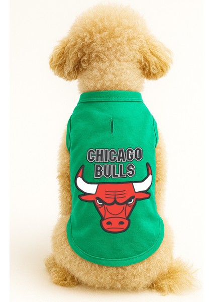 Kedi ve Köpek Kıyafeti & Elbisesi - Yeşil Chicago Bulls Atlet