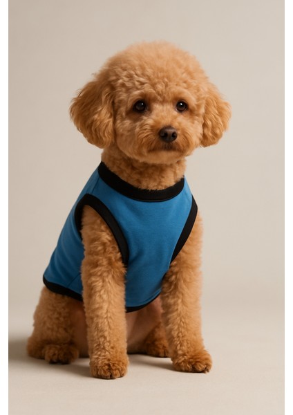 Yeni Sezon Köpek ve Kedi Kıyafeti - Mavi Mickey Mouse fiyatları