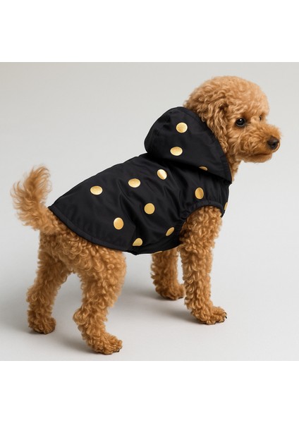 Içi Polarlı Puantiyeli Köpek ve Kedi Yeleği & Ceketi