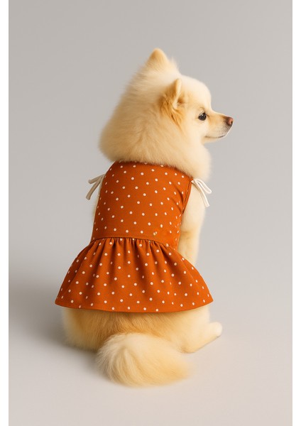 Kedi ve Köpek Kıyafeti & Elbisesi - Kiremit Rengi Puantiyeli Elbise