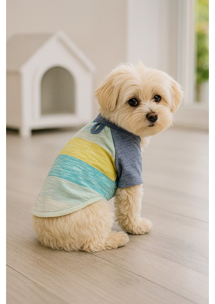 Kedi ve Köpek Kıyafeti & Elbisesi - Mavi ve Beyaz T-Shirt