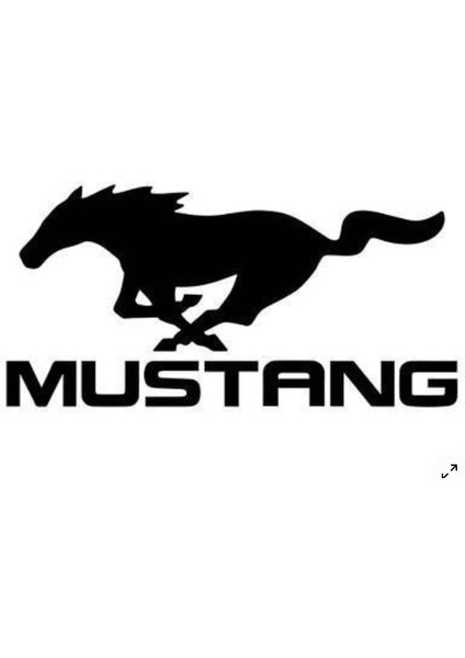 Mustang Logo Araba Sticker Siyah 12X8 cm