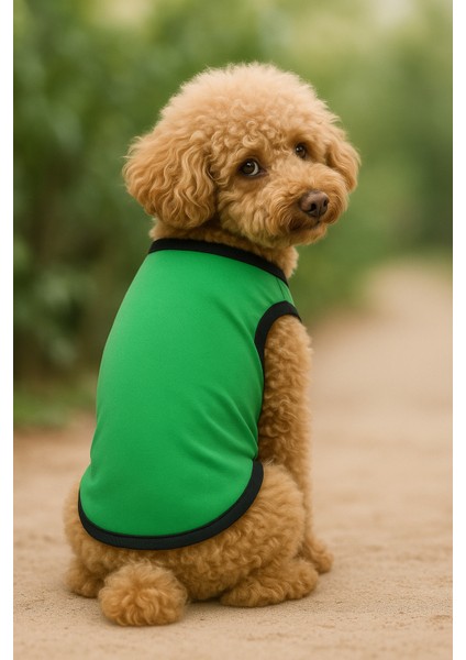 Yeni Sezon Köpek ve Kedi Kıyafeti - Düz Yeşil