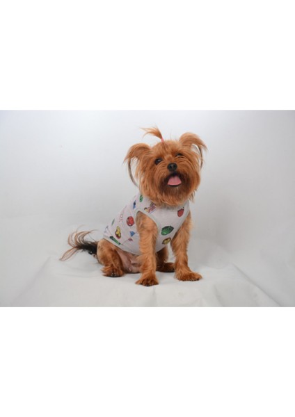 Organik Kumaşlı Köpek ve Kedi Kıyafeti - Marvel modelleri