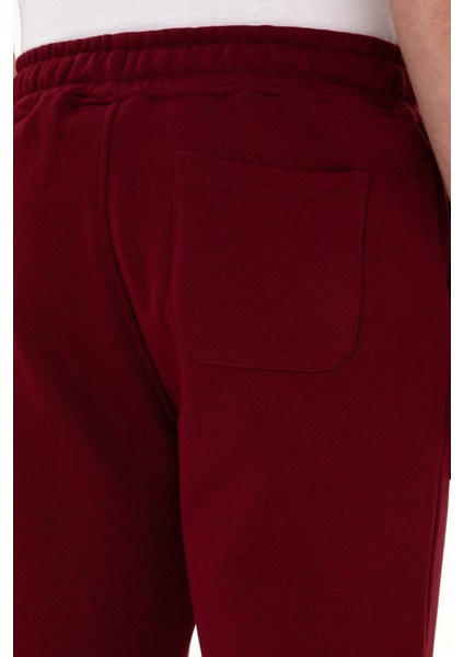 Erkek Bordo Eşofman Altı 50307803-VR014