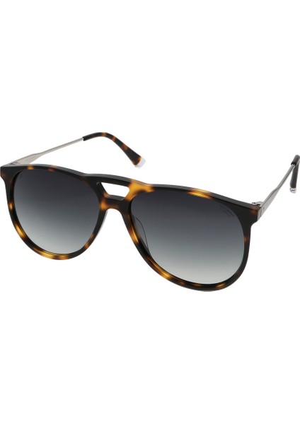 LC1667.C2 Erkek Lee Cooper Güneş Gözlüğü