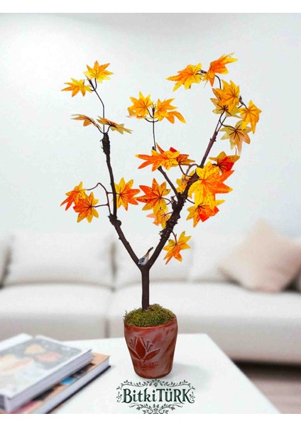 -Beton Saksıda Yapay Ağaç Gerçek Gövde ve Yosun Dekorlu Ofis Salon Hediye Sonbahar fırsatları