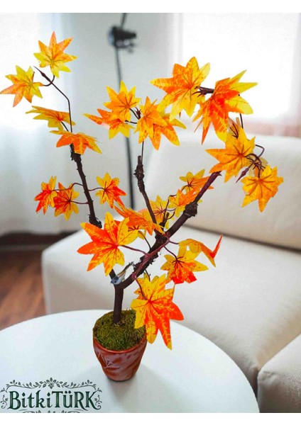 -Beton Saksıda Yapay Ağaç Gerçek Gövde ve Yosun Dekorlu Ofis Salon Hediye Sonbahar indirimleri