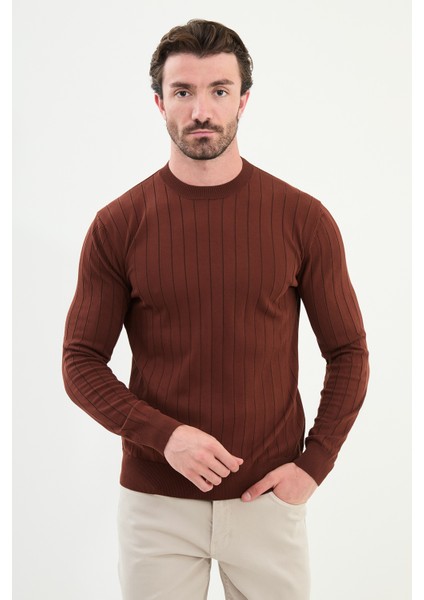 Çizgili Slim Fit Bisiklet Yaka Erkek Triko Kazak