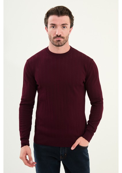 Çizgili Slim Fit Bisiklet Yaka Erkek Triko Kazak