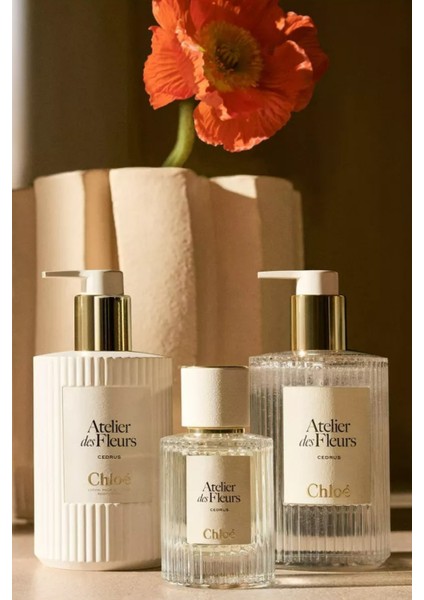 Atelier Des Fleurs Santalum Parfümlü Duş Jeli 300ML, Sandal Ağacı Kokulu ve Nemlendirici fiyatları