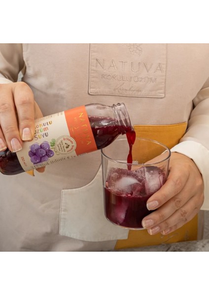 12'li %100 Kokulu Üzüm Suyu Minikler 250 ml fırsatları