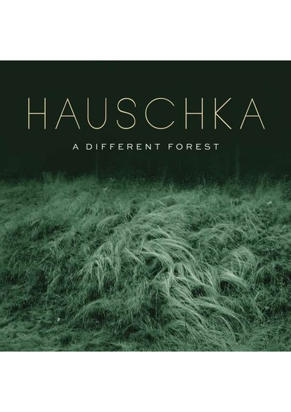 Hauschka - A Dıfferent Forest 1 Plak