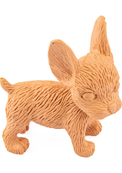 Veteriner Pet Bebek Seti