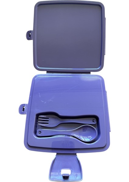 Frozen Disney Beslenme Kabı Beslenme Kutusu fiyatları