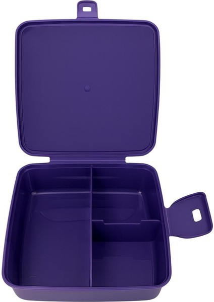 Frozen Disney Beslenme Kabı Beslenme Kutusu