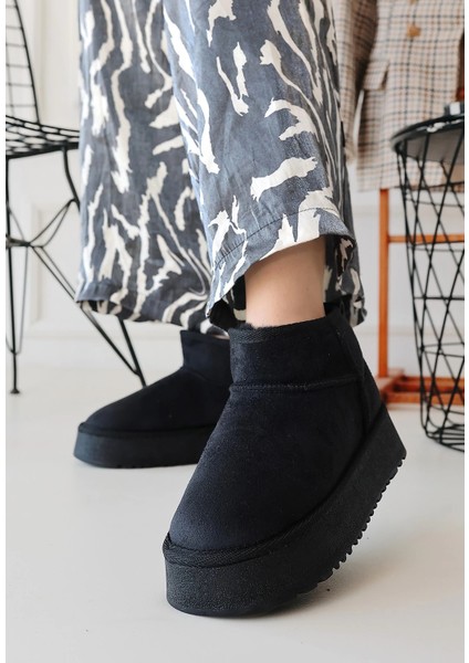 Linne Siyah Süet Bot