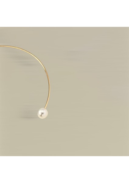 Gold Inci Detay Detay Choker Kolye fiyatları