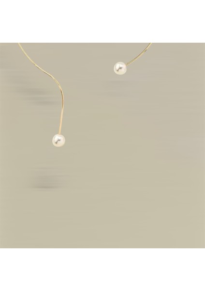 Gold Inci Detay Detay Choker Kolye modelleri