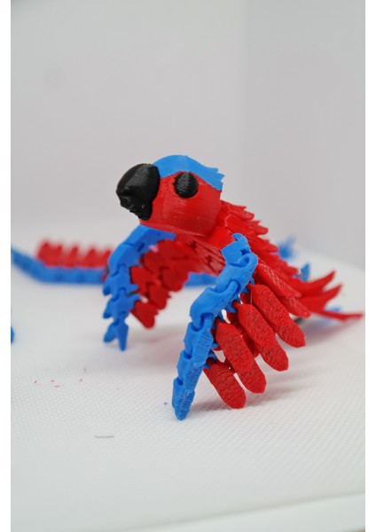 Tropik Kanatlar – Hareketli Papağan Anahtarlık fırsatları