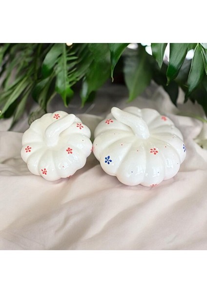 Orta ve Küçük Boy Dekoratif Kabak Set